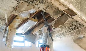 Best Industrial Mold Remediation in , MS